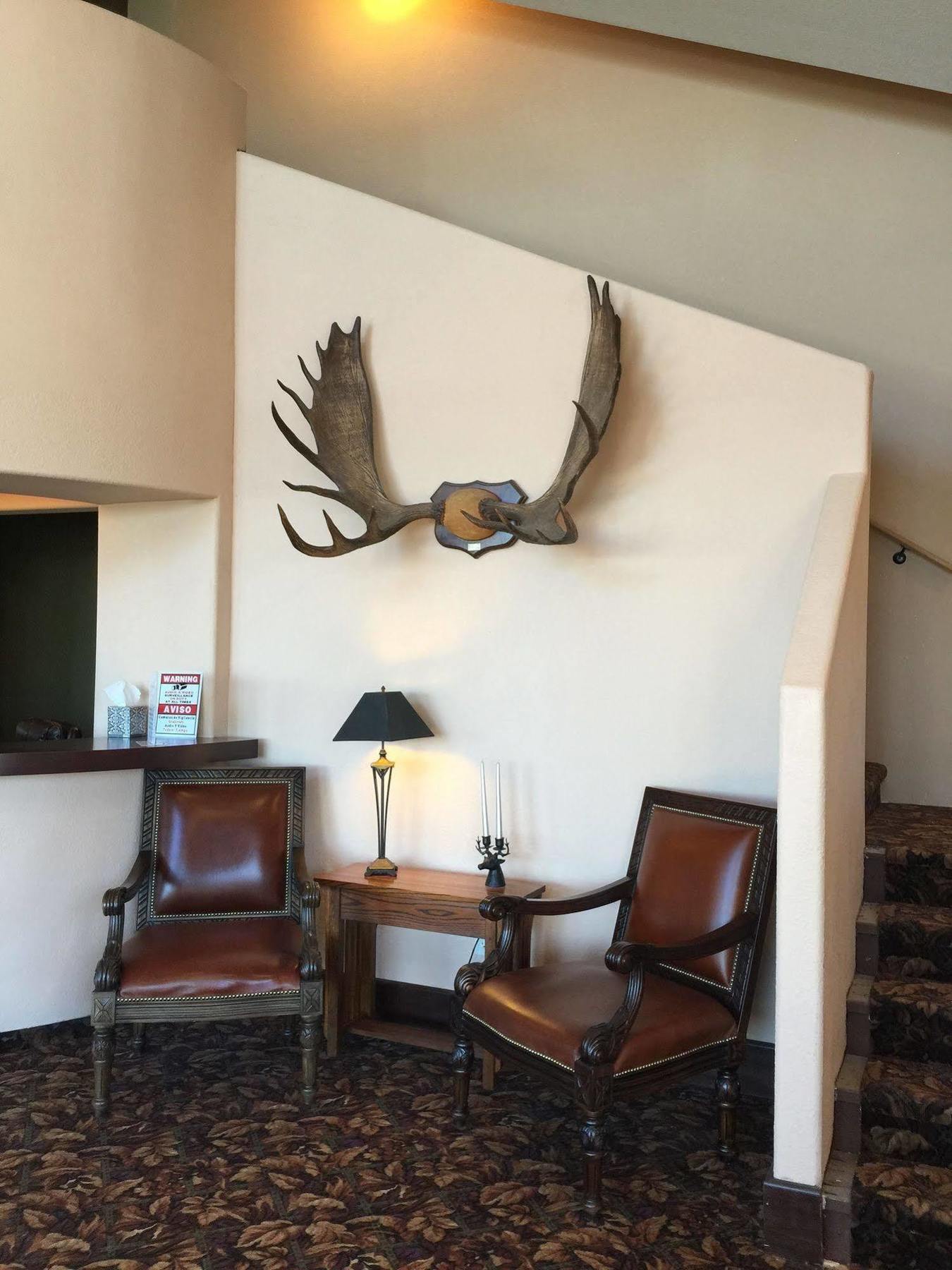 Kenai Airport Hotel Exterior foto